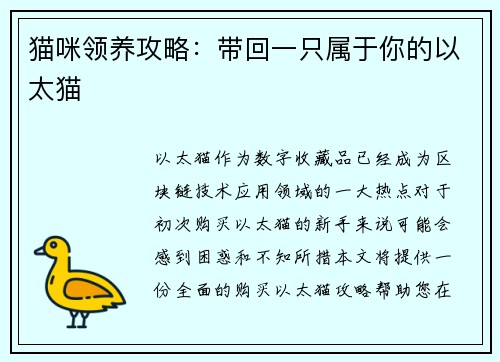 猫咪领养攻略：带回一只属于你的以太猫